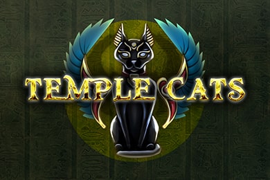 Играть в Templecats Сукааа Казино